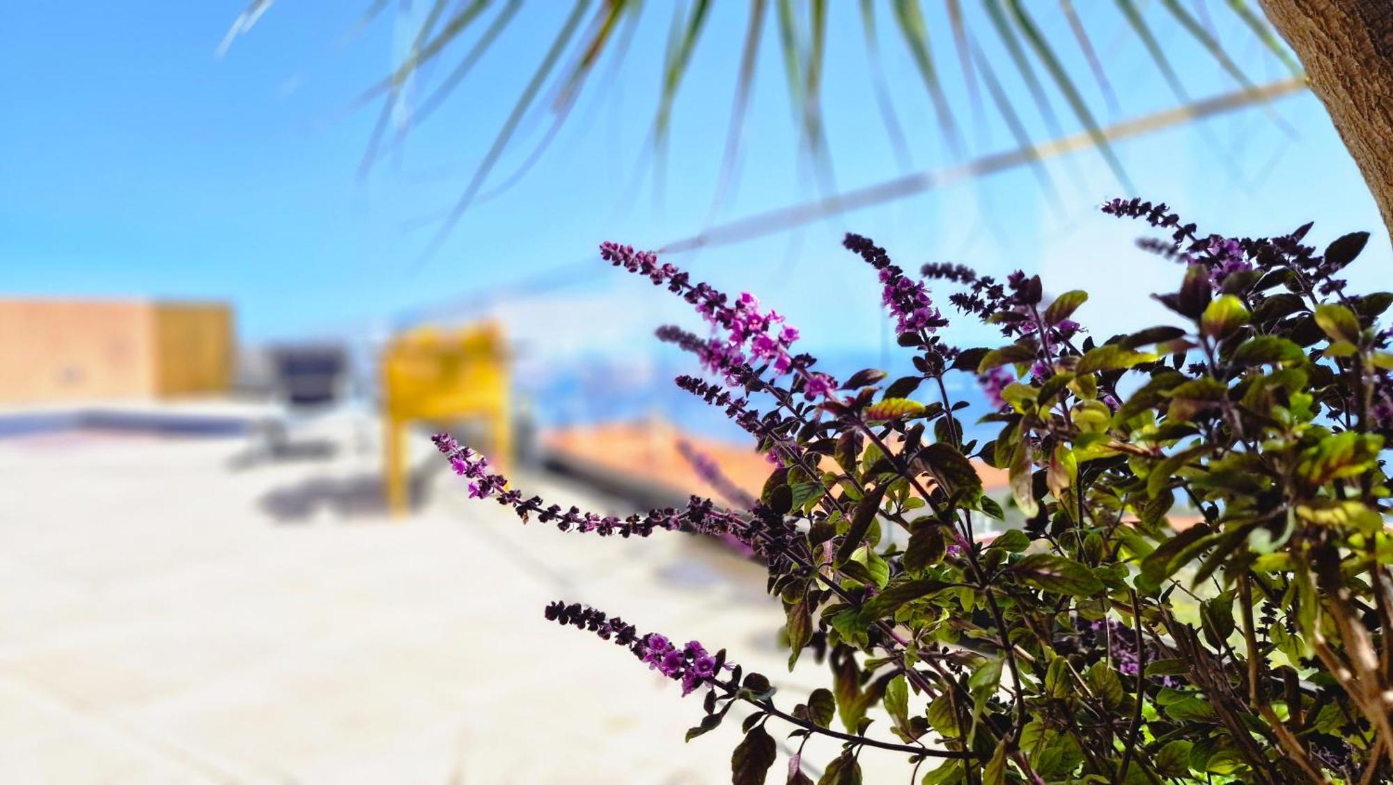 Eden Sun - A Modern Luxury Villa With A Panoramic View Prazeres Exterior photo
